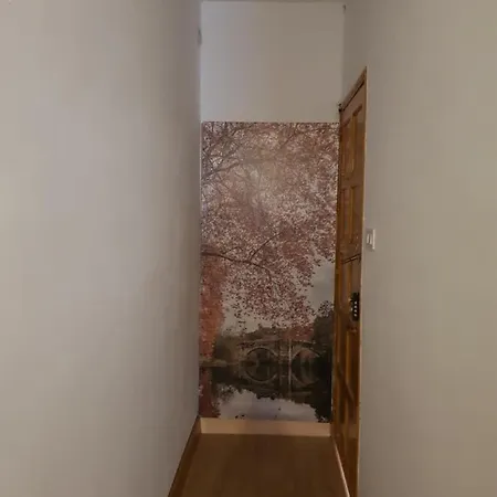 Apartment Casa Maria Seara *